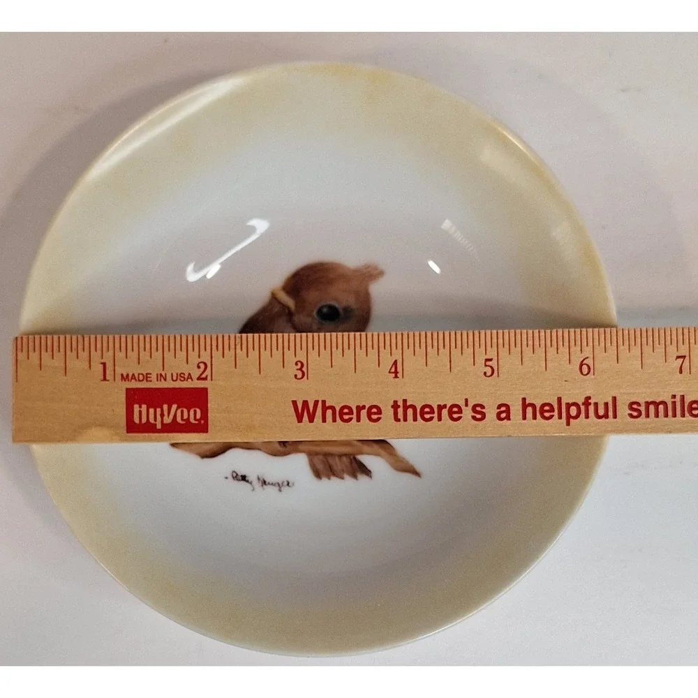 Vintage‎ Handpainted Ceramic Bowl Baby Robin Spring Bird